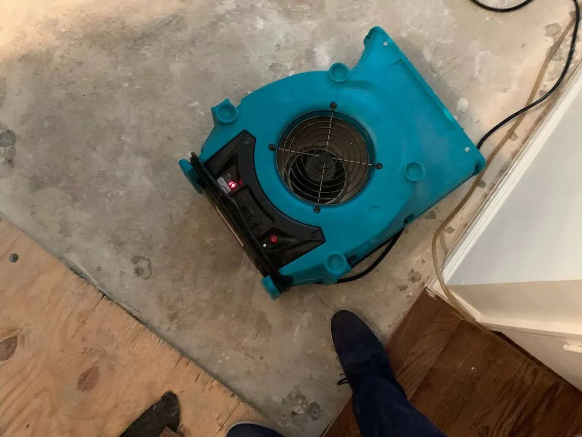 Air mover drying subfloor during Commercial Water Damage Restoration in Tarpon Springs